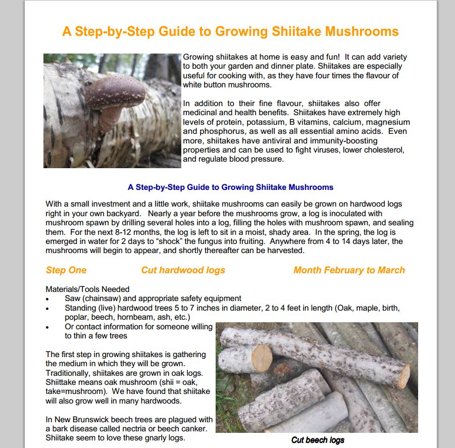 Growing Shiitake Mushrooms