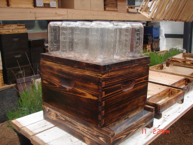 DIY Bee Hive