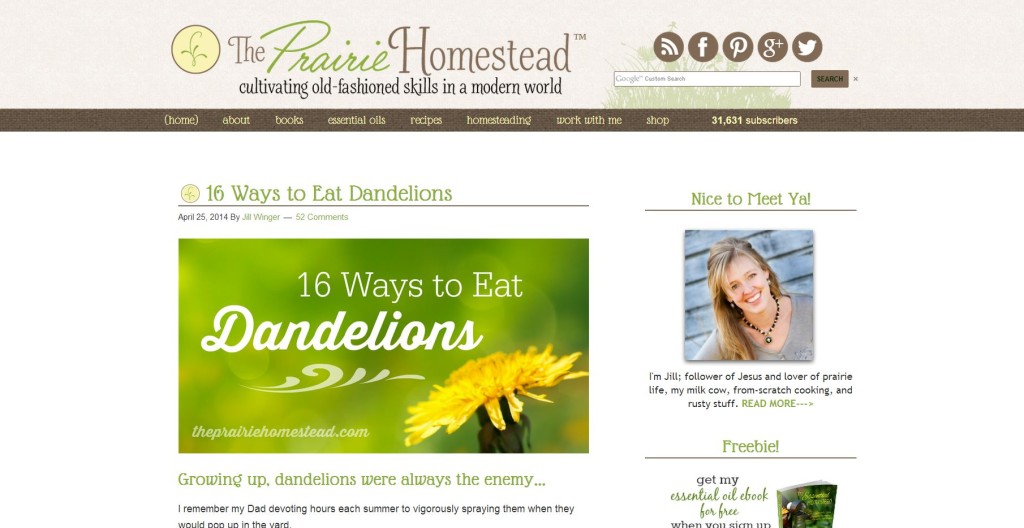 Ways to Eat Dandelions