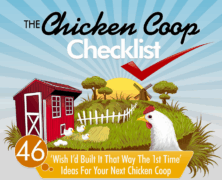 Chicken Coop Infographic Made of Win