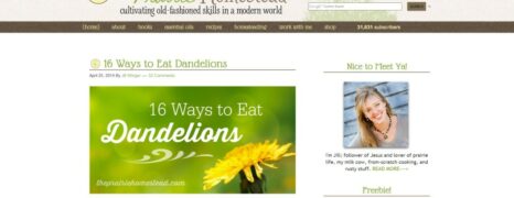 Eat Dandelions in 16 Delicious Ways