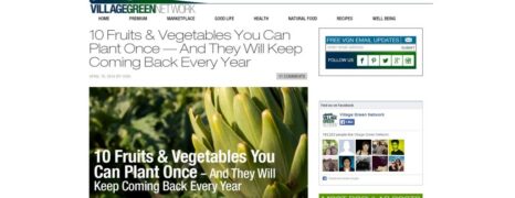 Food Every Year: Perennial Fruits and Vegetables
